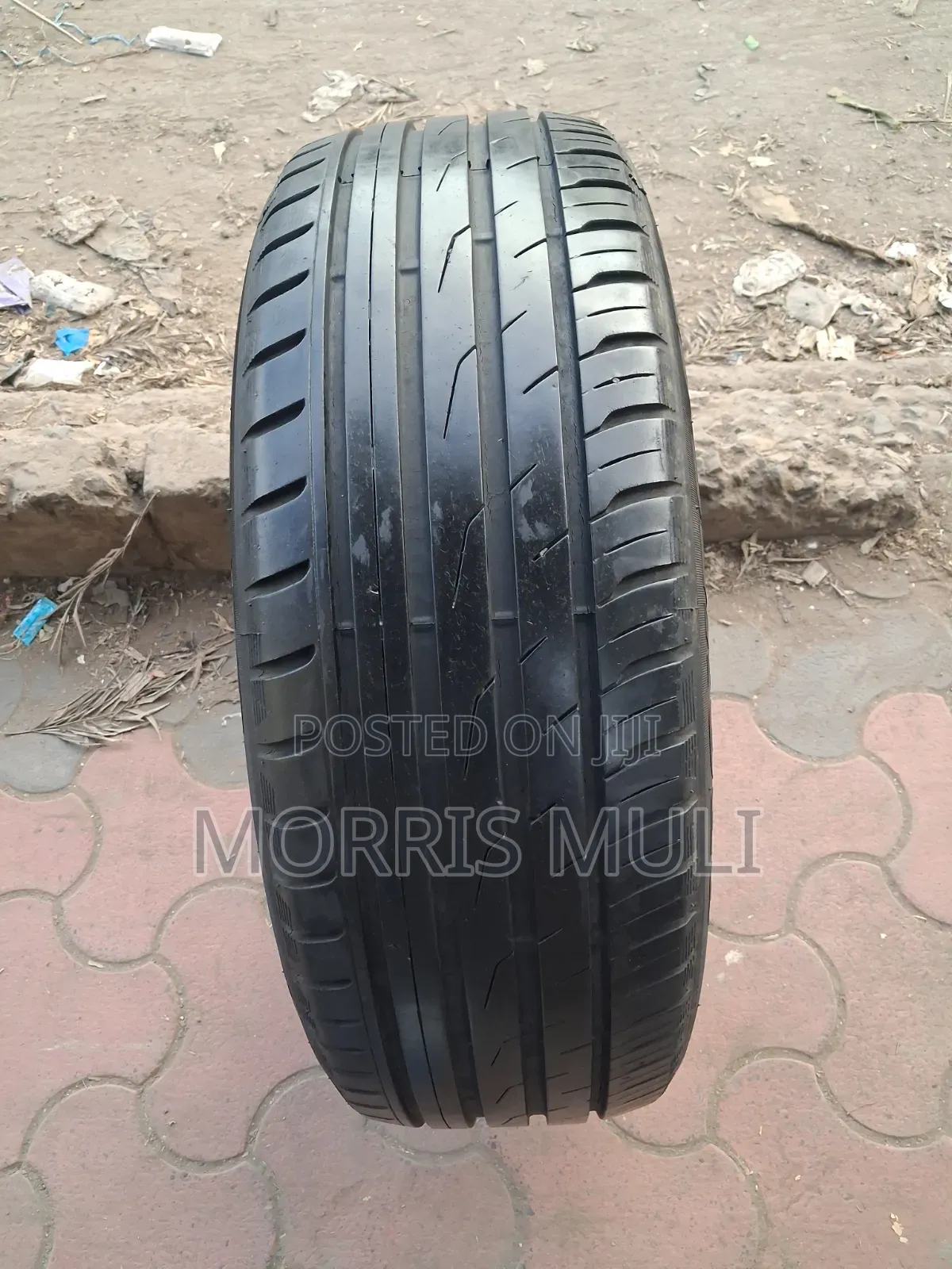 225/55r19 Toyo