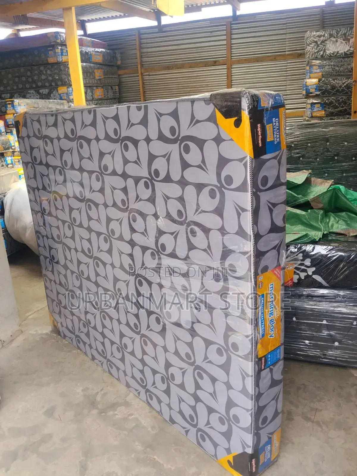Morning Glory 8 Inches, 5x6 Plain Mattress With Attractive Patterns