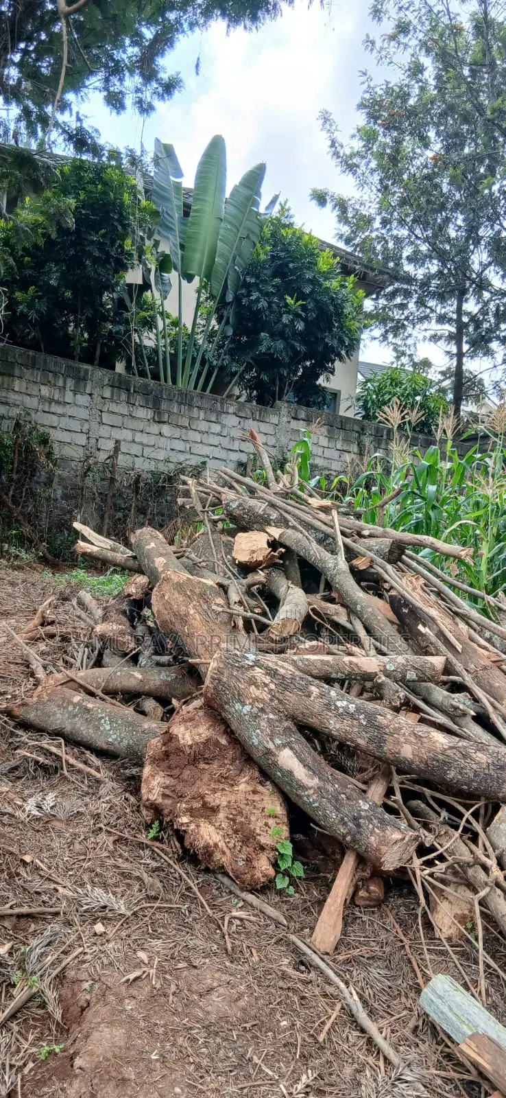 Prime 1⁄4 Acre Plot for Sale – Kerarapon Drive
