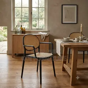 Home Chairs; Rattan Plastic Outdoor Dining Chairs