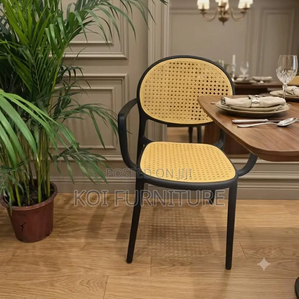 Home Chairs; Rattan Plastic Outdoor Dining Chairs