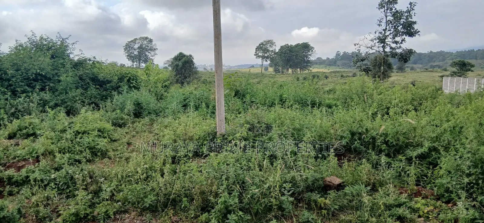 Prime 1⁄2 Acre Plot for Sale – Kerarapon Drive