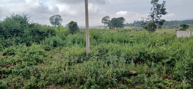 Prime 1⁄2 Acre Plot for Sale – Kerarapon Drive - thumbnail 2