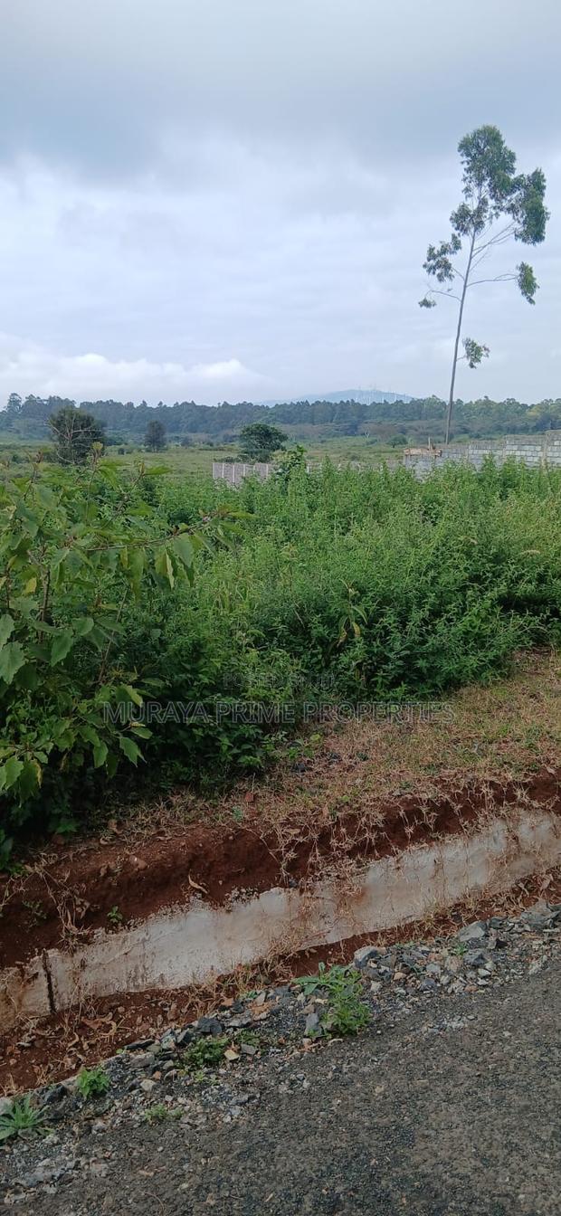 Prime 1⁄2 Acre Plot for Sale – Kerarapon Drive - thumbnail 3