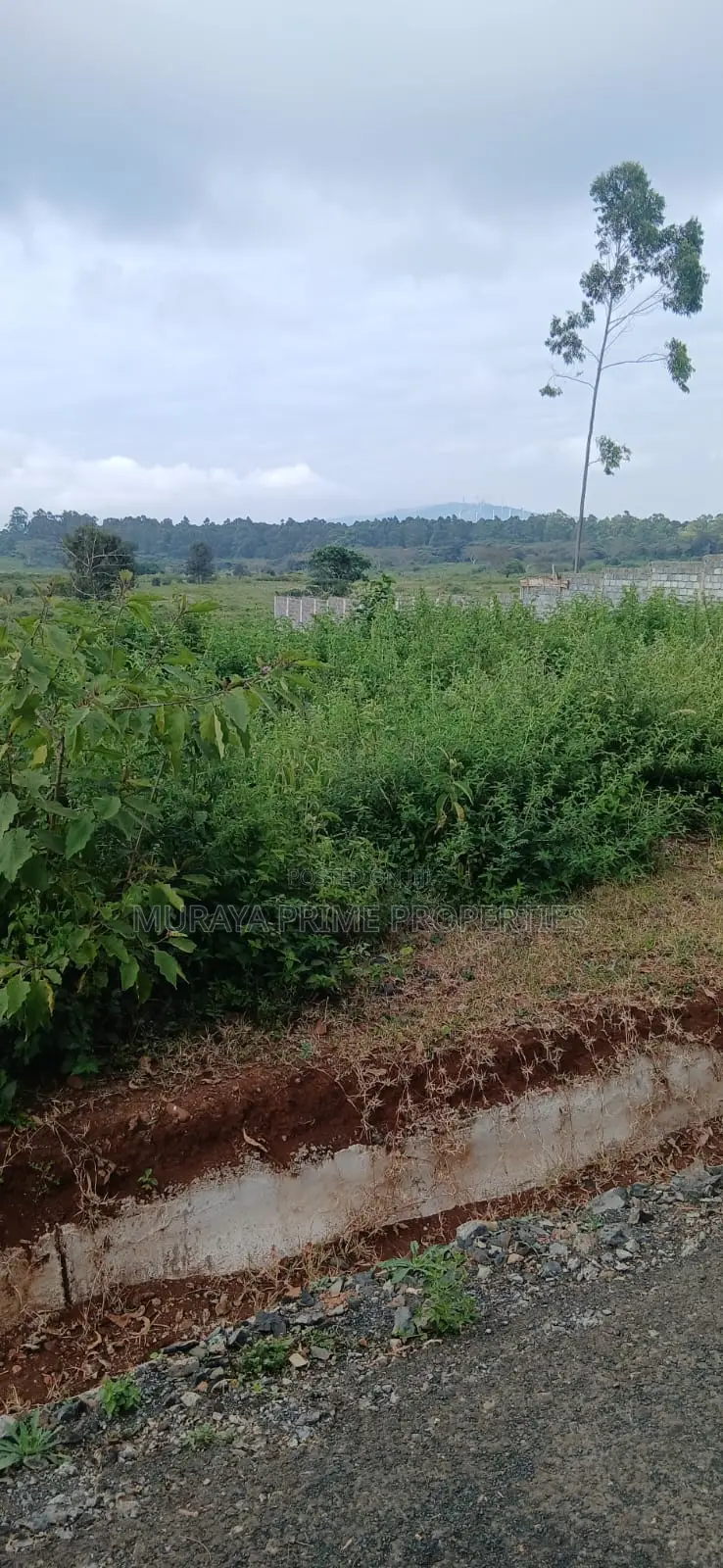 Prime 1⁄2 Acre Plot for Sale – Kerarapon Drive