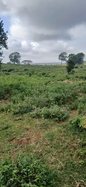 Prime 1 Acre Plot for Sale – Kerarapon Drive