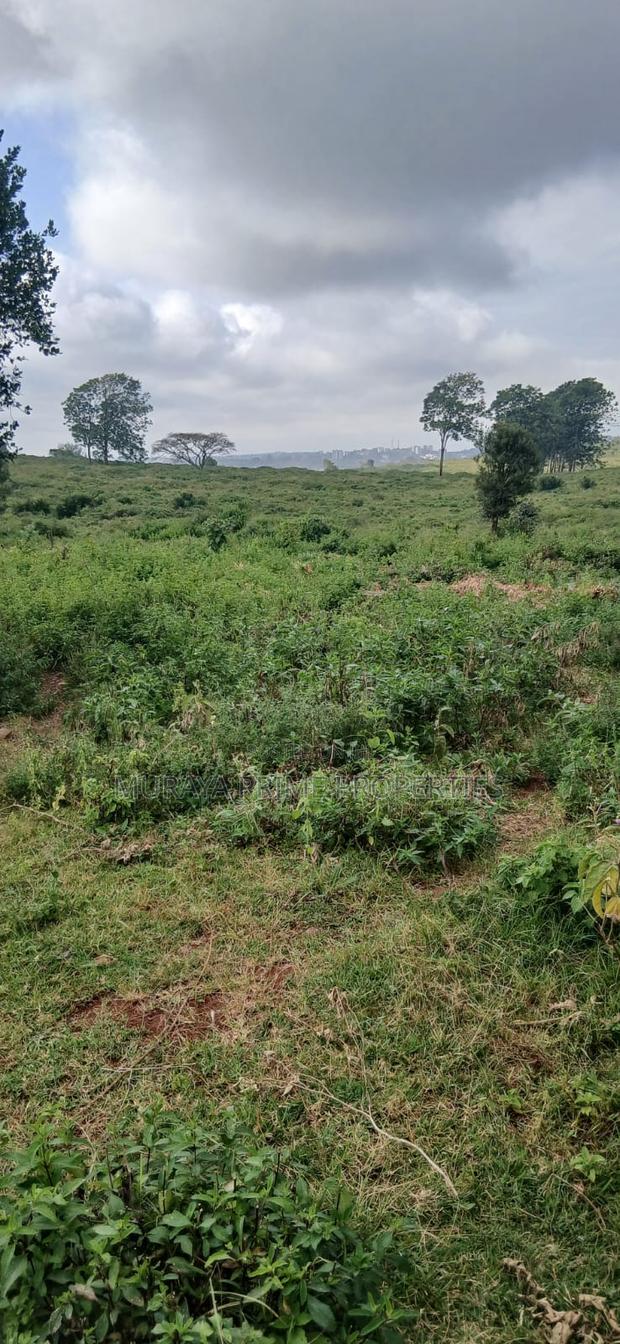 Prime 1 Acre Plot for Sale – Kerarapon Drive - thumbnail 2