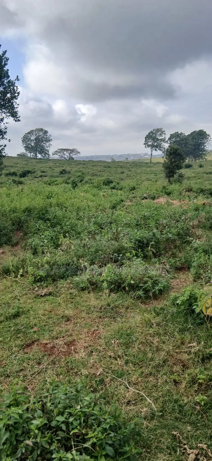 Prime 1 Acre Plot for Sale – Kerarapon Drive