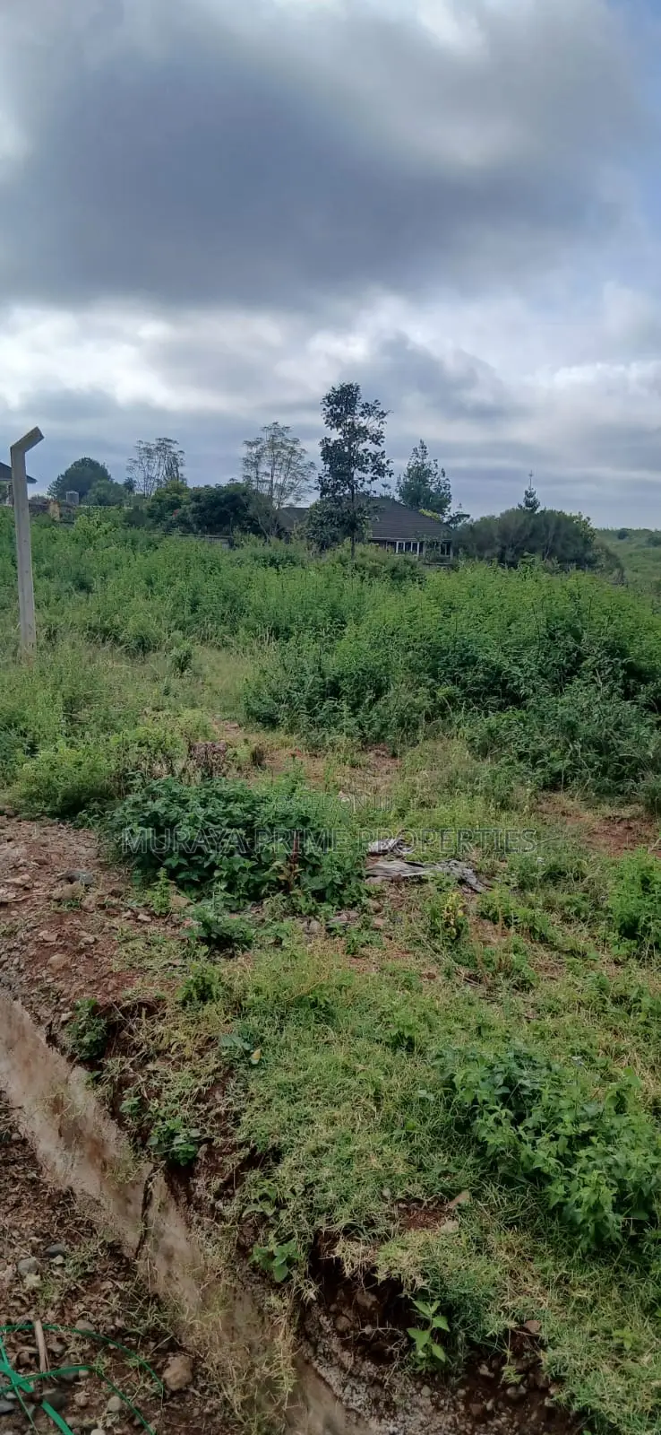 Prime 1 Acre Plot for Sale – Kerarapon Drive