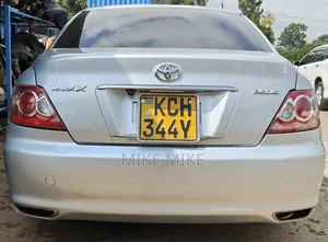 Toyota Mark X 2.5 RWD 2009 Silver