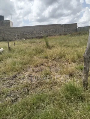 Prime 50 X 100 Plot for Sale – Kantafu