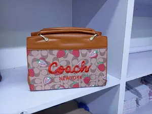 Coach Hand Bag