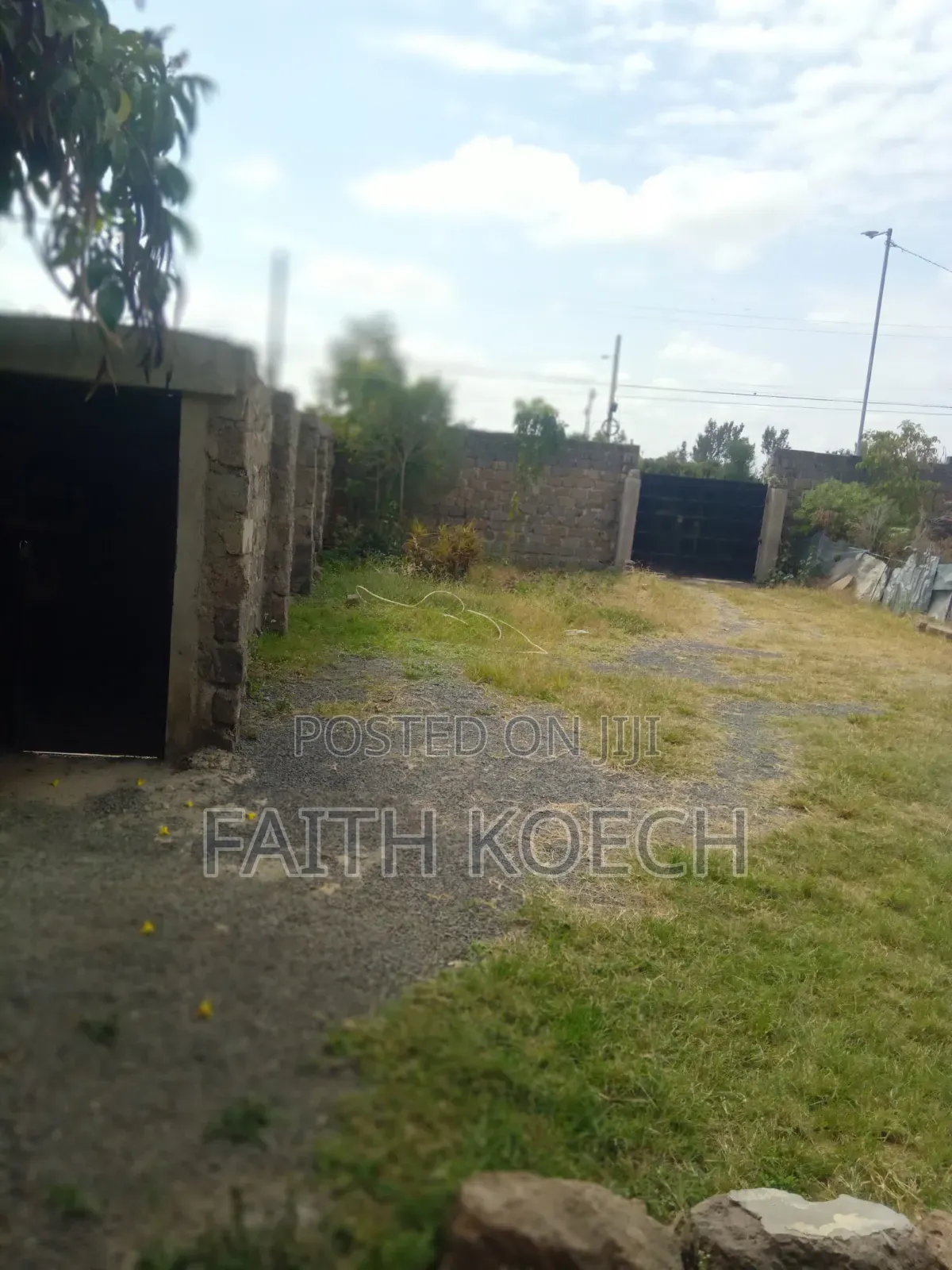 Leasing a Property