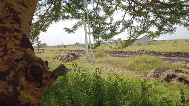 Land for Sell - thumbnail 2