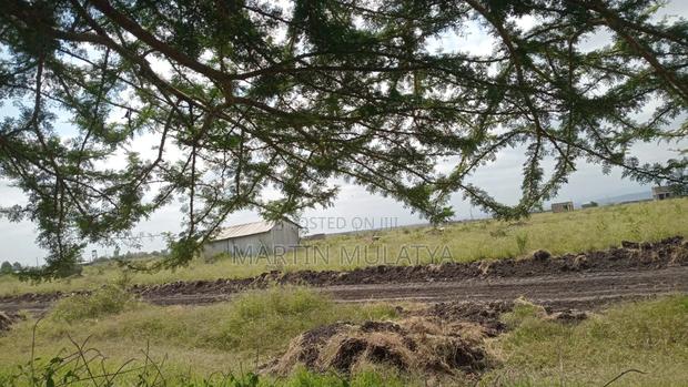Land for Sell - thumbnail 3