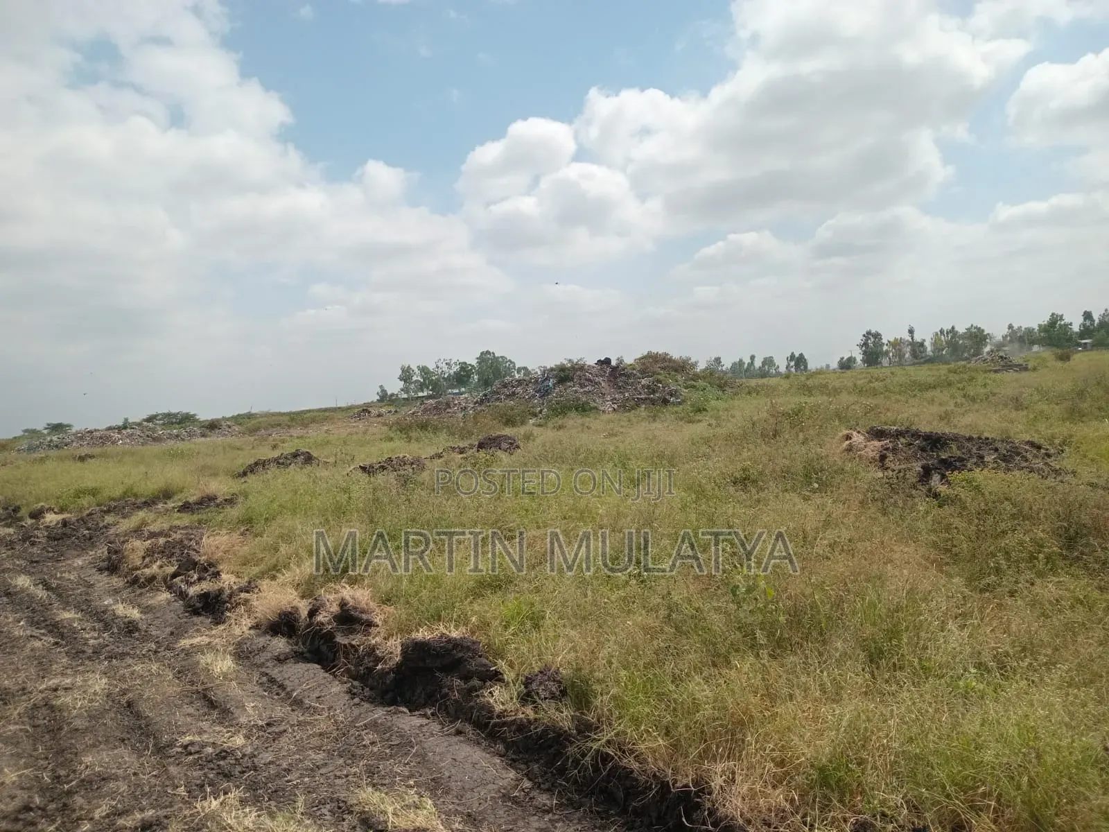 Land for Sell