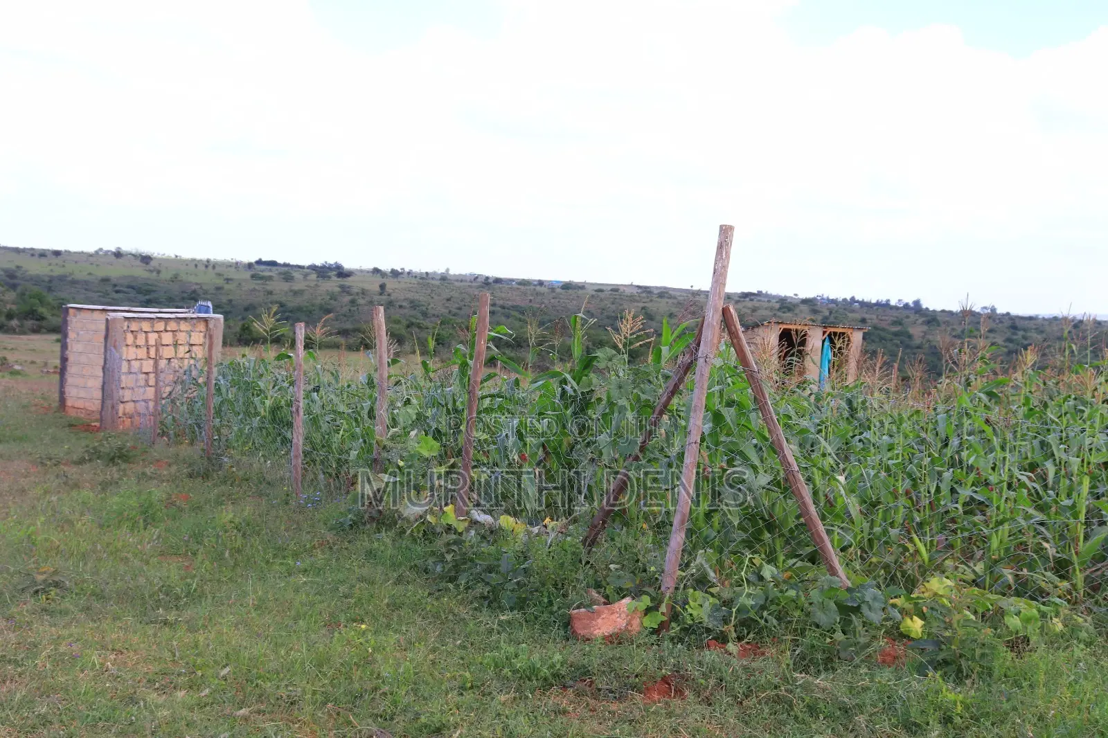 Joska Lukenya Plots