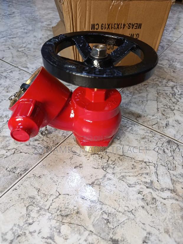 2.5-Inch Brass Landing Valve