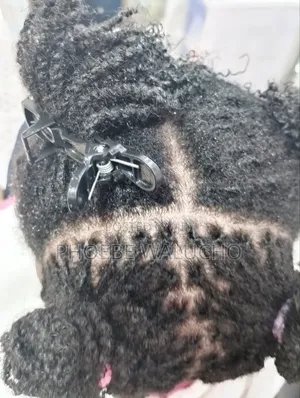 Professional Hair Stylist