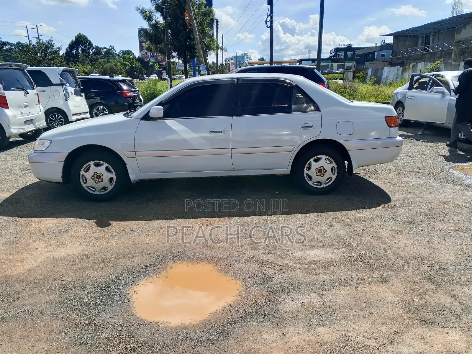 Toyota Corona Premio 2000 White