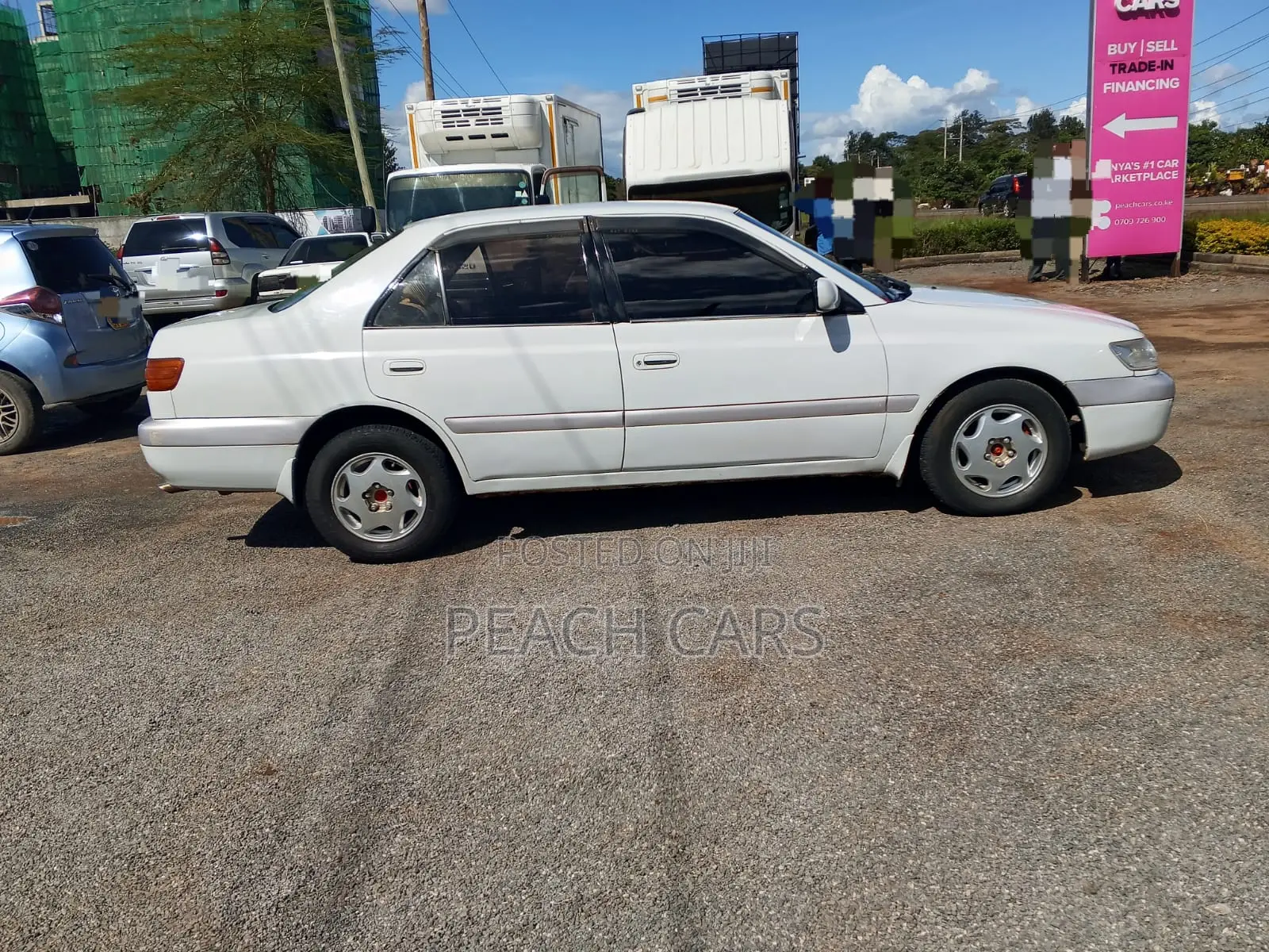 Toyota Corona Premio 2000 White