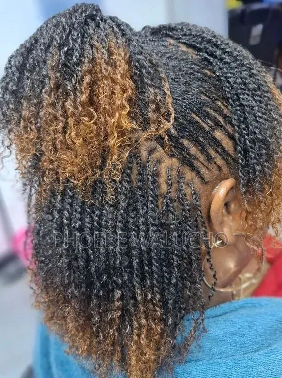 Professional Hair Stylist