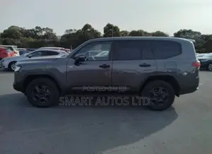 Toyota Land Cruiser LC300 2022 Gray