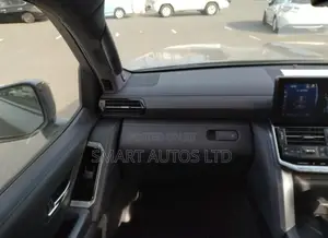 Toyota Land Cruiser LC300 2022 Gray