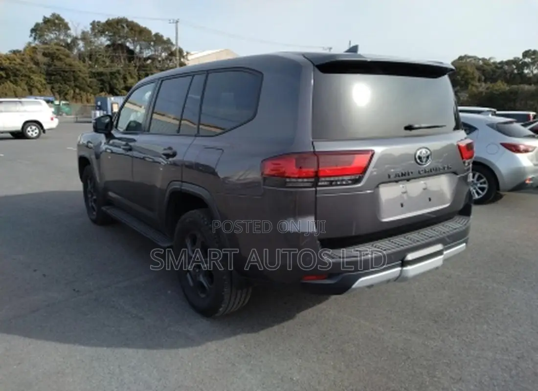 Toyota Land Cruiser LC300 2022 Gray