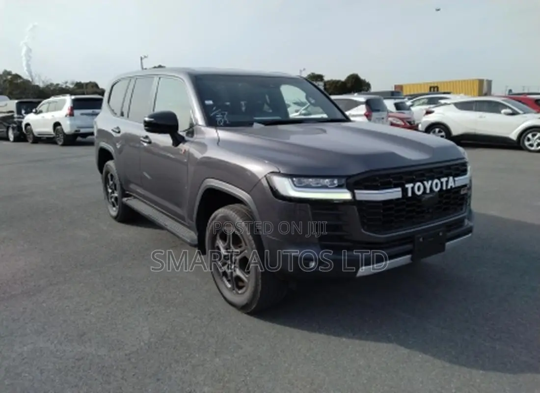 Toyota Land Cruiser LC300 2022 Gray