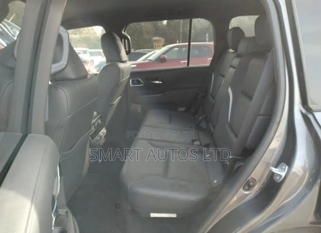 Toyota Land Cruiser LC300 2022 Gray