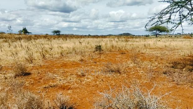 Prime 20 Acres for Sale – Great Investment Farming Opportunity! 