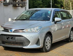 Toyota Corolla Fielder 2019 Silver