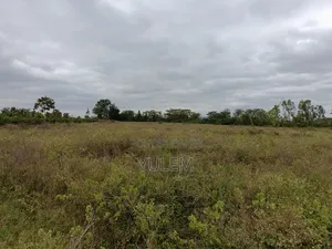 5 Acre Land at Kinanie, Athi River