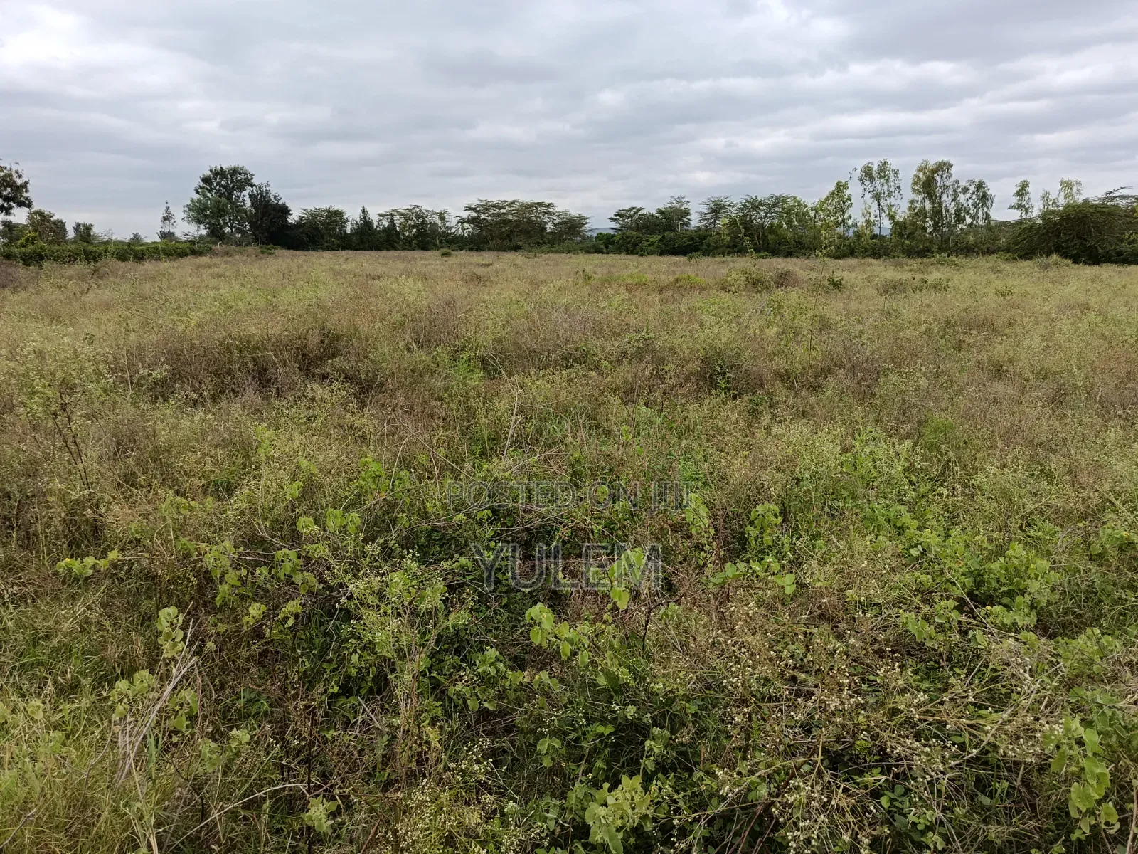 5 Acre Land at Kinanie, Athi River