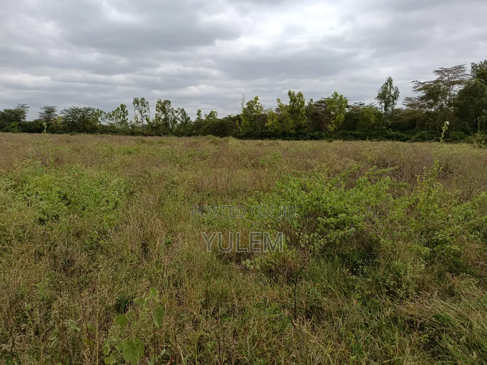 5 Acre Land at Kinanie, Athi River