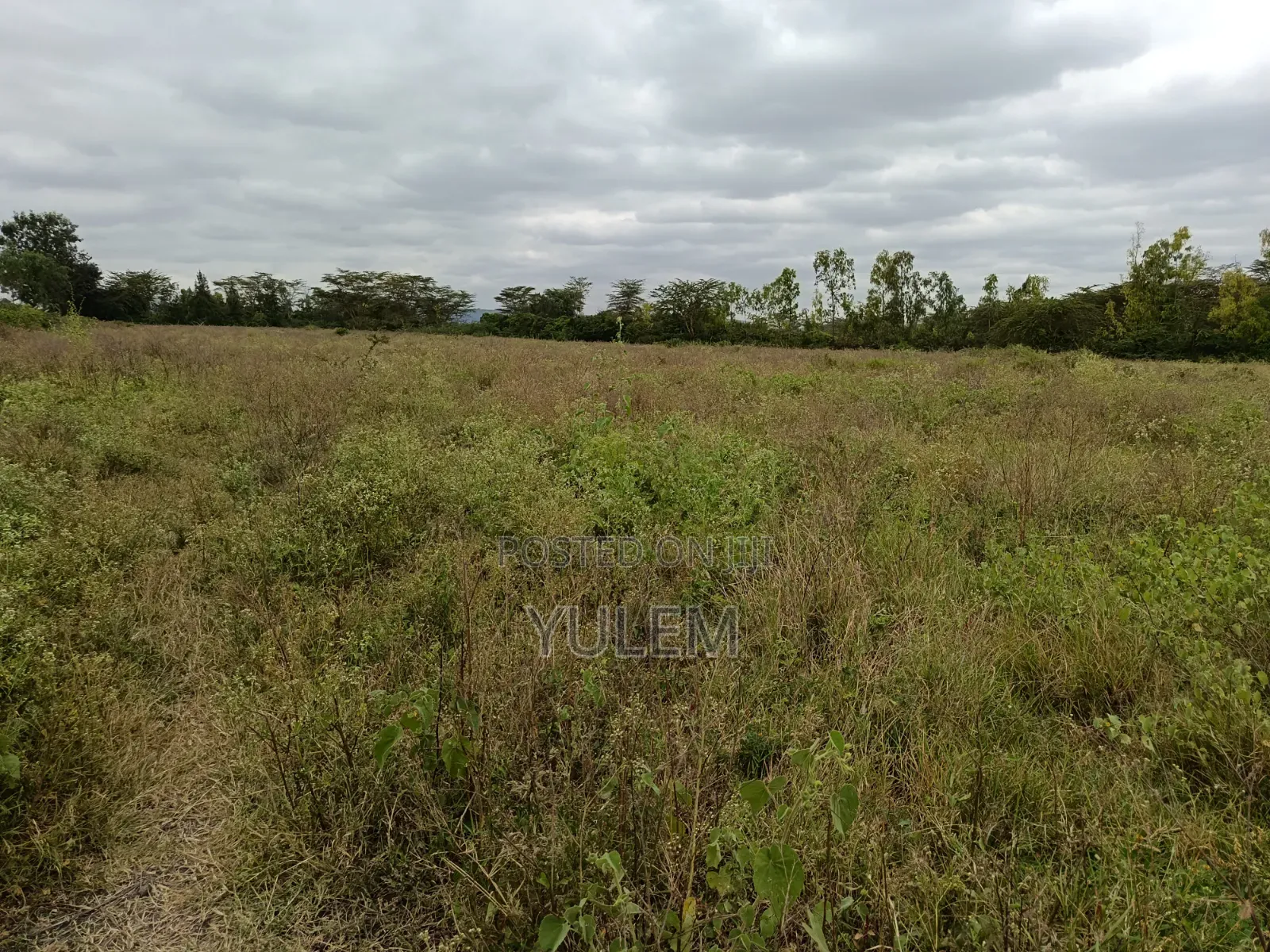5 Acre Land at Kinanie, Athi River