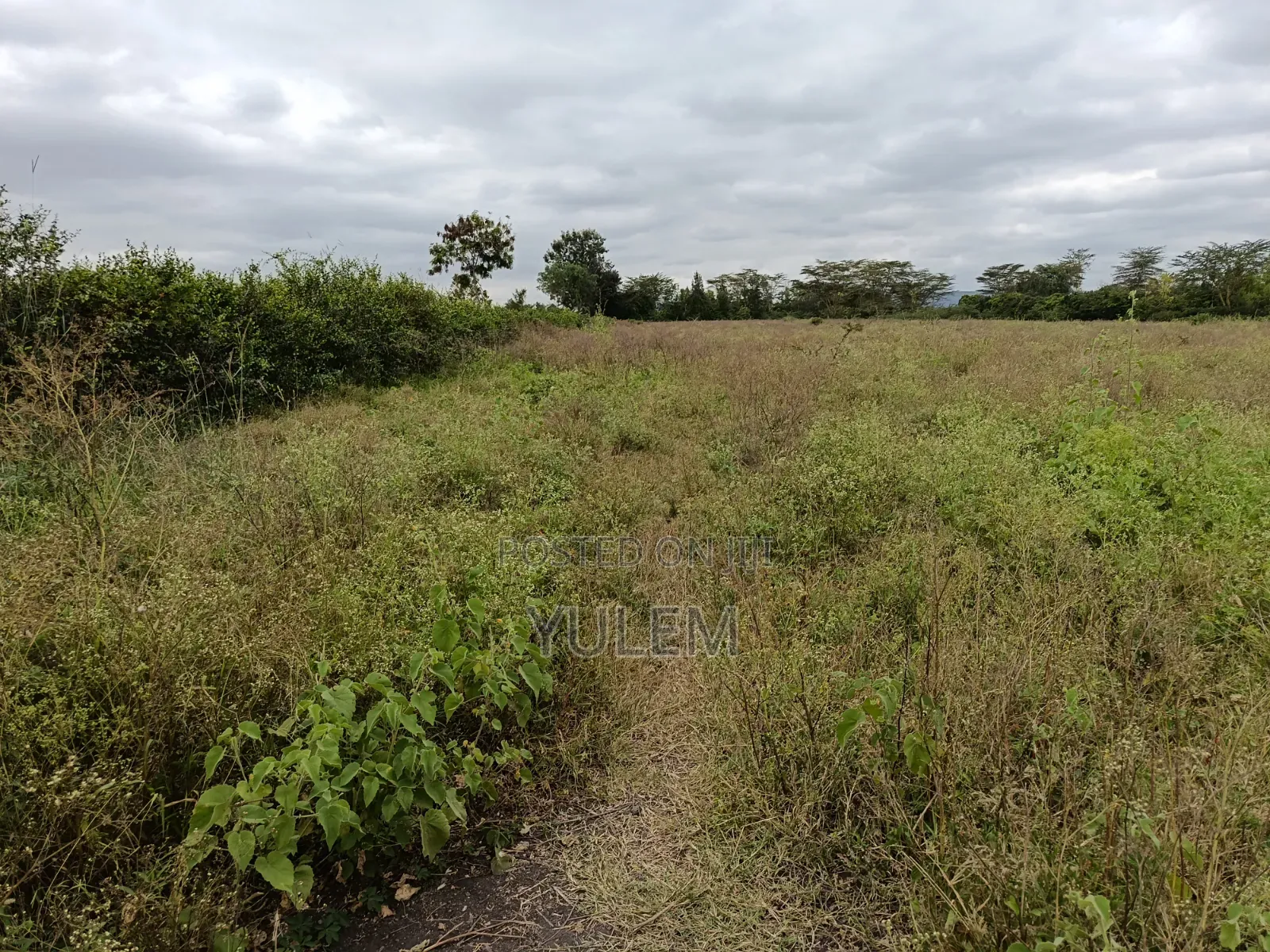 5 Acre Land at Kinanie, Athi River