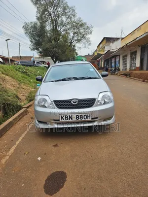 Toyota Corolla Fielder 2008 Silver