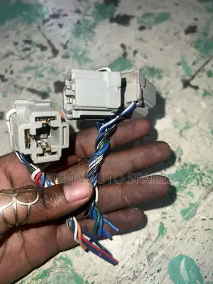 Headlights Socket