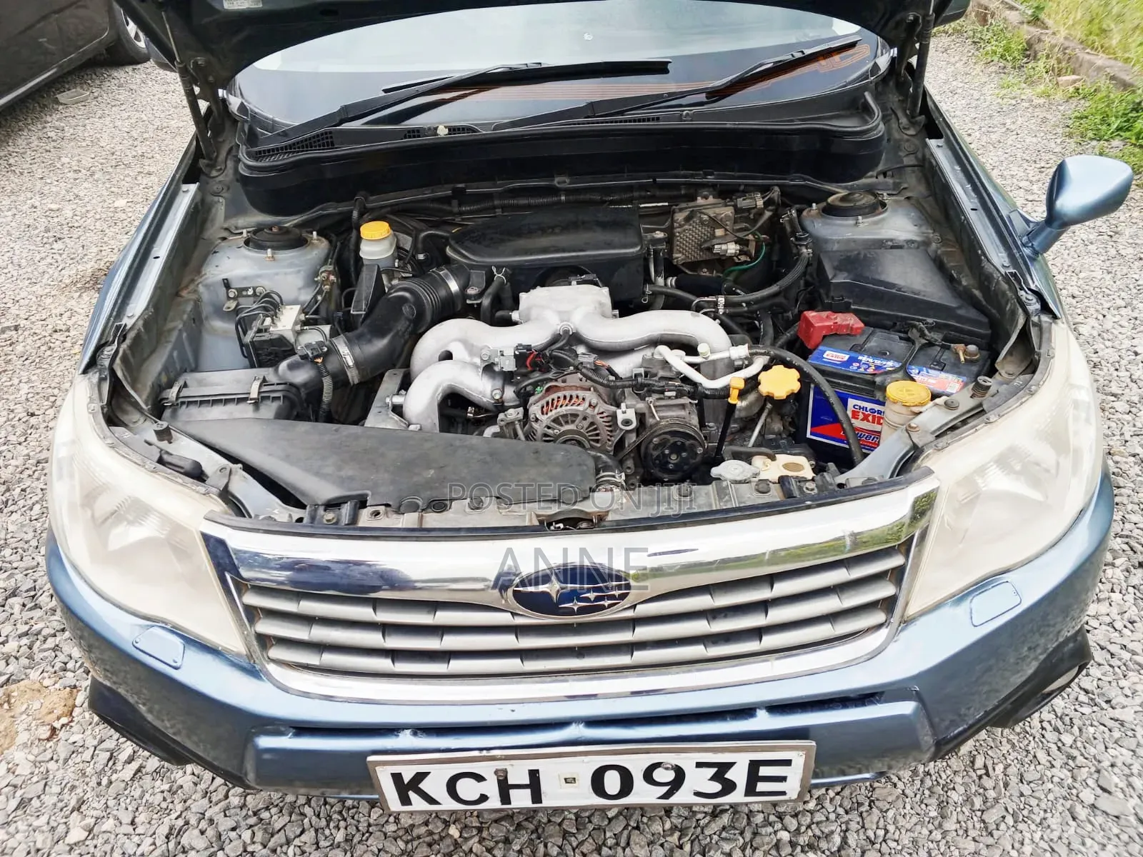 Subaru Forester 2009 Blue