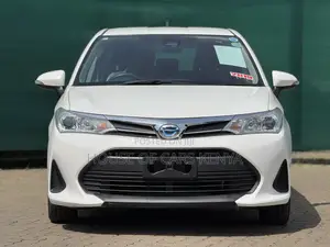 Toyota Corolla Fielder 2019 White