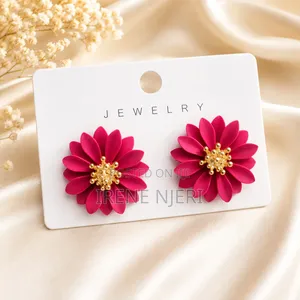 Earings and Accessories