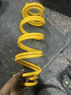 Springs for New Probox/Axio/Fielder/Ractis