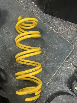 Springs for New Probox/Axio/Fielder/Ractis