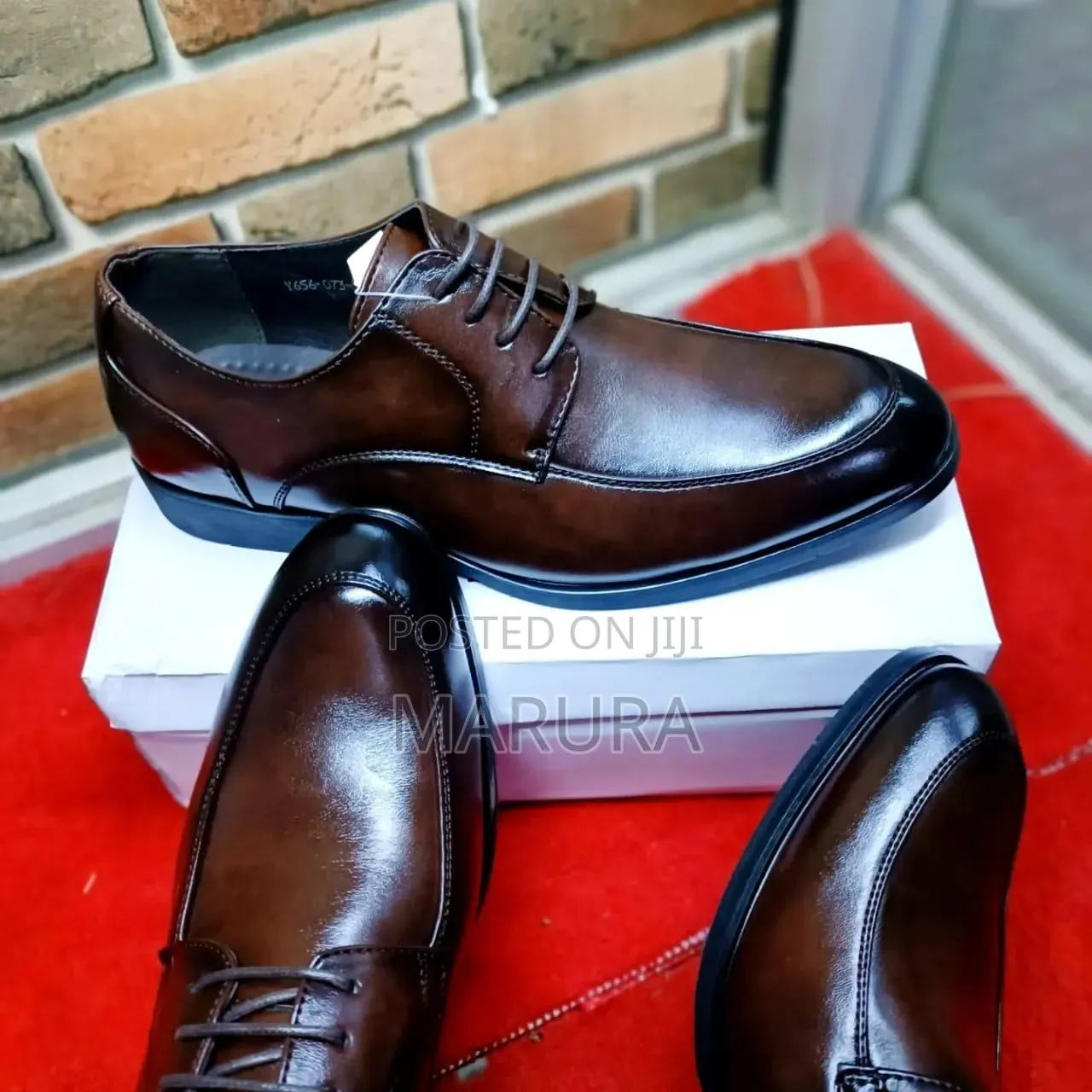 Laced Official Shoe