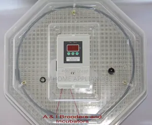 64eggs Automatic Egg Incubator