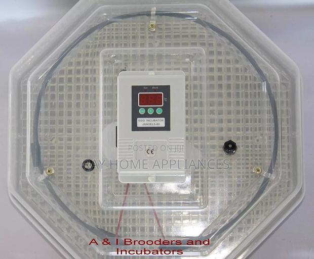 64eggs Automatic Egg Incubator
