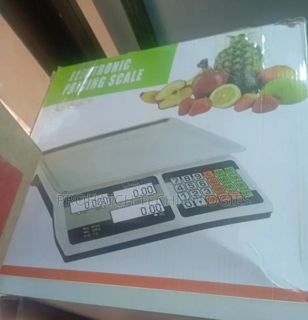 Electric Pricing Scale/Weighing Scale