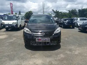 Nissan Lafesta 2011 Black